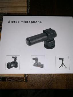Video camera with microphone 