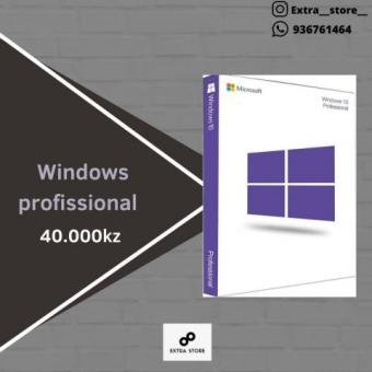 Windows 10 profissional