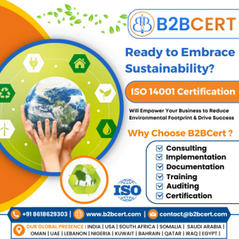 ISO 14001 Consultants Services in Florida